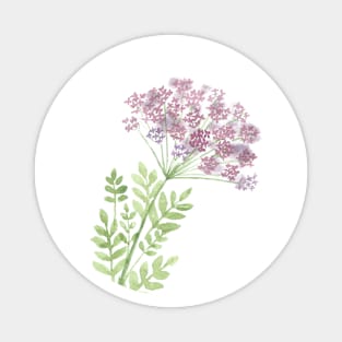 Angelica flower, watercolor painting Magnet